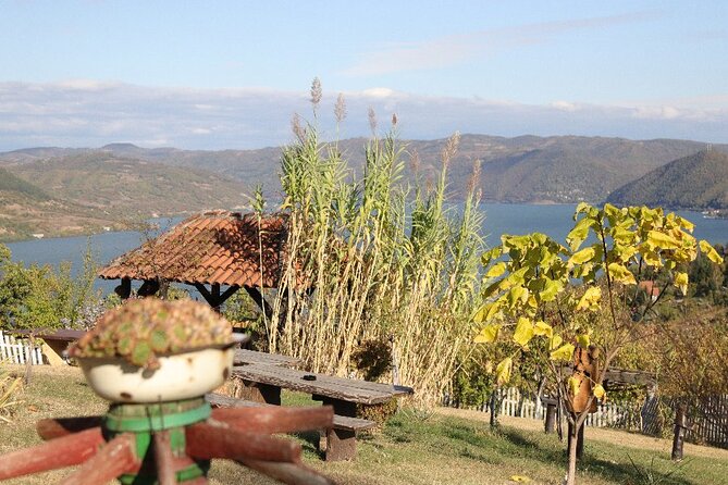 Along the Danube: Golubac Fortress & Iron Gate Gorge day trip from Belgrade - What makes the guiding valuable