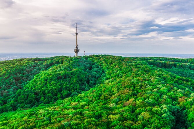 Avala Mountain Private Tour - Avala Tower and the View from Above
