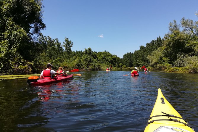 Belgrade Amazon Kayak Adventure - Key points to know before you paddle