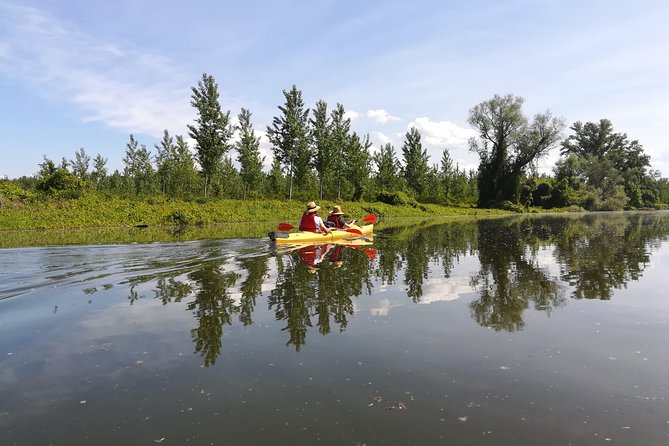 Belgrade Amazon Kayak Adventure - Paddling into Beljarica