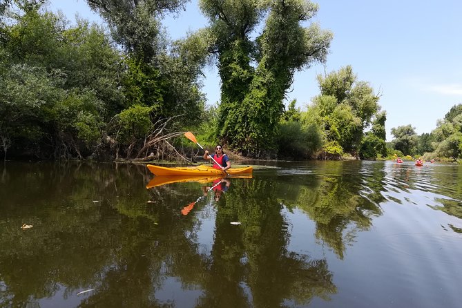 Belgrade Amazon Kayak Adventure - Wildlife, photography, and quiet water