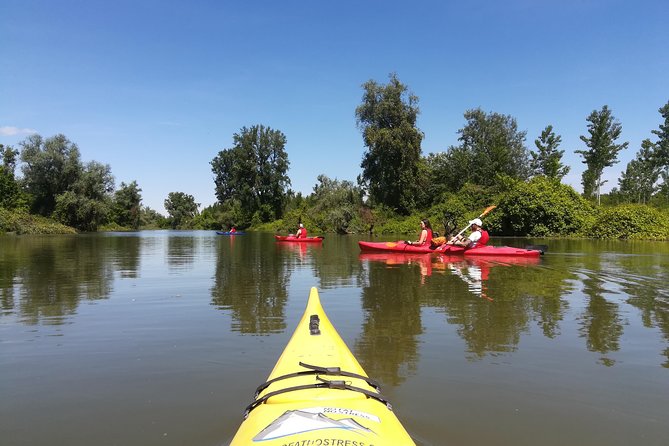 Belgrade Amazon Kayak Adventure - The price and what you receive
