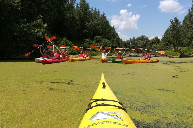 Belgrade Amazon Kayak Adventure - Who should book this kayak adventure