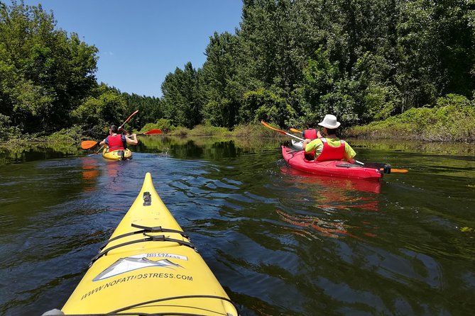 Belgrade Amazon Kayak Adventure - Starting at Kej Oslobođenja