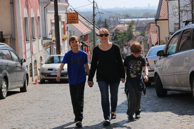 Belgrade Private City Tour – Metropolis Between East and West - Crossing into Zemun