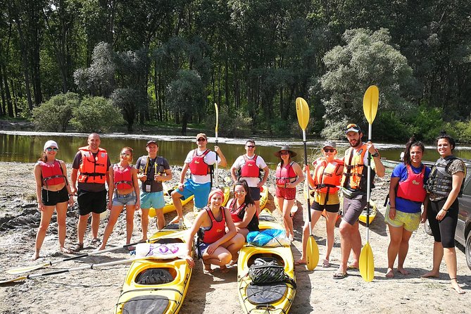 Belgrade War Island Kayak Tour - Key points to know before you book