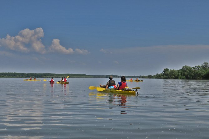 Belgrade War Island Kayak Tour - Paddling the Danube with Belgrade behind you