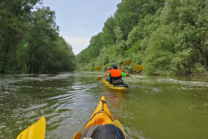 Belgrade War Island Kayak Tour - Crossing toward the Sava River