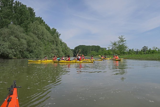 Belgrade War Island Kayak Tour - Lido Beach at the island’s tip