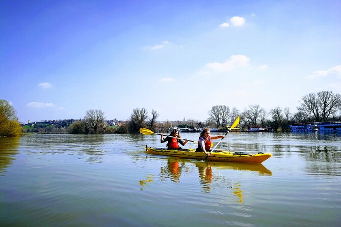 Belgrade War Island Kayak Tour - What the $42.33 price really covers