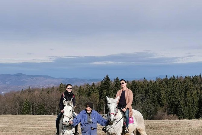 Feel Serbia - Who should book this experience?