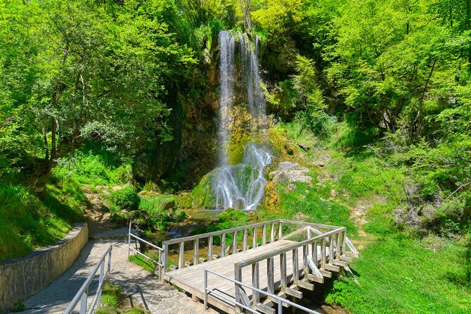From Belgrade: Full day trip to Zlatibor Mountain - The guide can shape the whole day