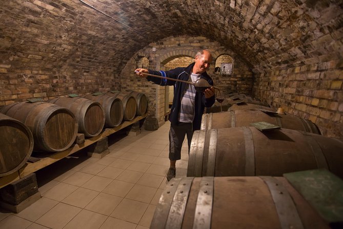 From Belgrade: Novi Sad and Sremski Karlovci Tour - Guides, vehicles, and the group experience