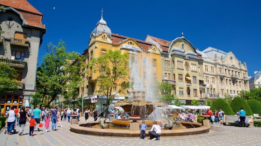 From Belgrade: Private Day Trip to Romania - Walking through Timișoara’s Cetate district