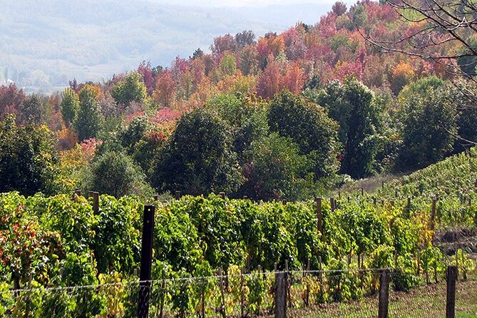 Full-Day Private Royal Heritage Tour to Oplenac With a Winery Visit - Aranđelovac lunch with a royal setting