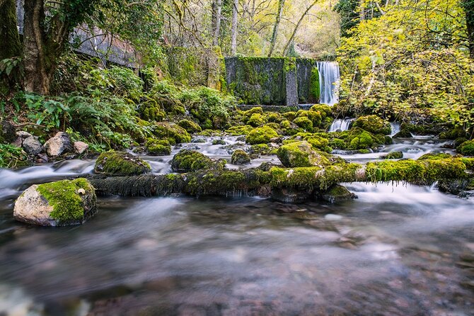 Full-Day Trip from Belgrade: Tara National Park & The Drina River Valley - Banjska Stena rewards the 2-kilometer walk
