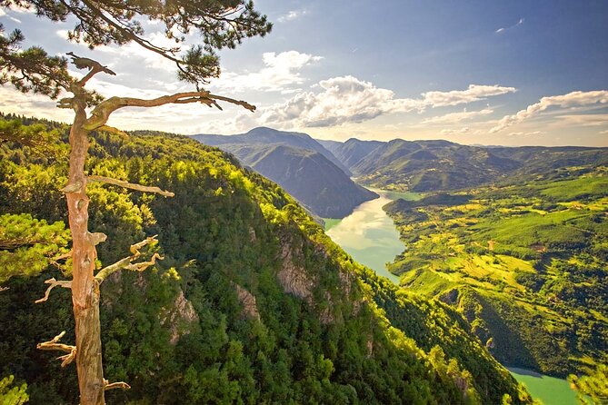 Full Day Trip from Belgrade: The Drina River House And Tara Park Tour - Why this makes a worthwhile day from Belgrade