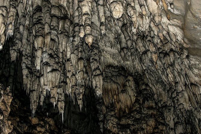 Full Day Trip from Belgrade: Uvac Nature Reserve Tour - Lunch is your responsibility