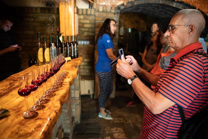 Northern Serbia: Sremski Karlovci and Novi Sad Full-Day Tour from Belgrade - Novi Sad, the Serbian Athens