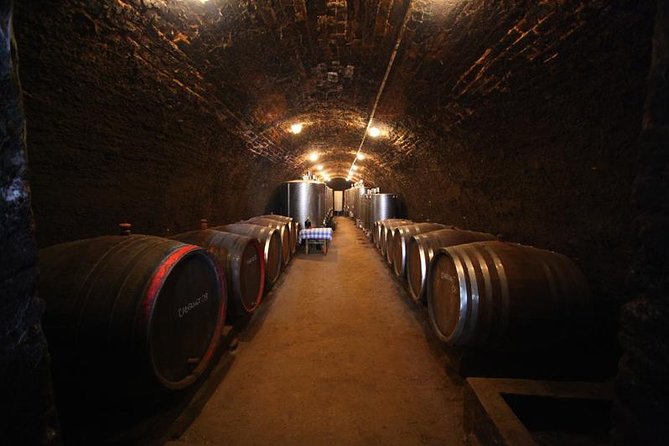Novi Sad and Sremski Karlovci private tour with wine tasting - Why this Belgrade day trip works