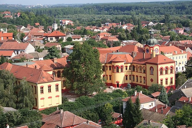 Novi Sad and Sremski Karlovci Wine Tour From Belgrade - Novi Sad: handsome streets and a limited first look