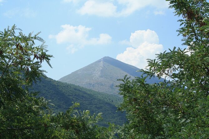 Private Day Tour to UNESCO site Felix Romuliana - Who will enjoy this day trip most