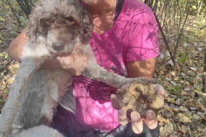 Private Guided Truffle Hunting Tour in Serbia with Lunch - Pickup from Belgrade and a five-hour schedule