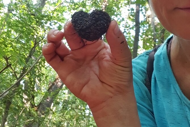 Private Guided Truffle Hunting Tour in Serbia with Lunch - A private tour changes the feel