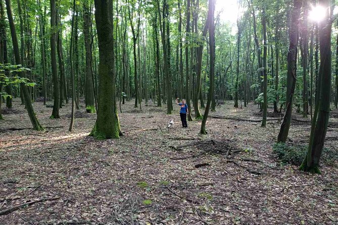 Private Guided Truffle Hunting Tour in Serbia with Lunch - Who will enjoy this most