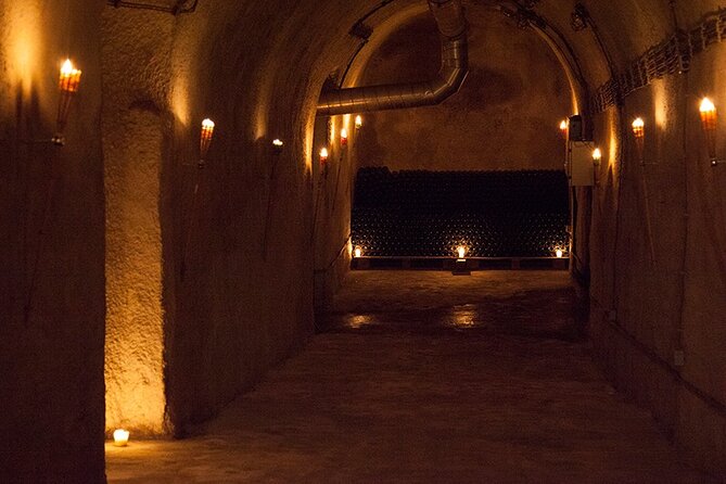 Private Wine Tasting by Party in Belgrade - Should you book the underground Belgrade wine tasting?