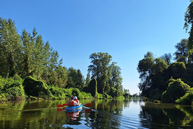 Self-guided kayak tour in Belgrade - What $31.21 buys you