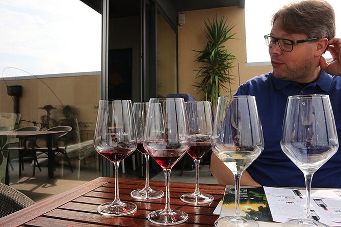Small Group Wine Tour in Sumadija Wine Region - What the $186.64 price really covers