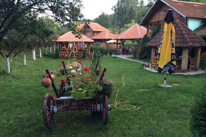 Stara Plana Day Tour - What the private guide can add