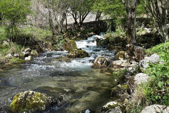 Treasures of Eastern Serbia private tour - A private minivan makes the distance easier